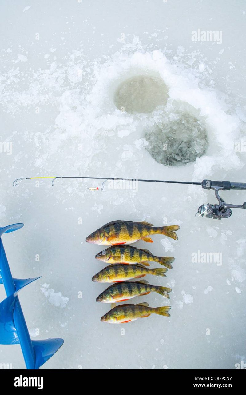 Ice fishing demo - Experience the Thrill of Ice Fishing Casino Games in the UK